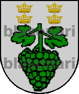 Escudo de armas