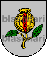 Escudo de armas