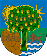 Escudo de armas